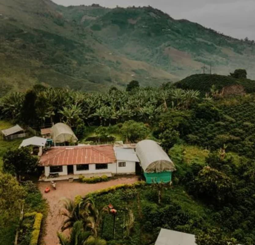 Farmhouse nestled in the coffee-growing mountains of Huila and Tolima, Colombia