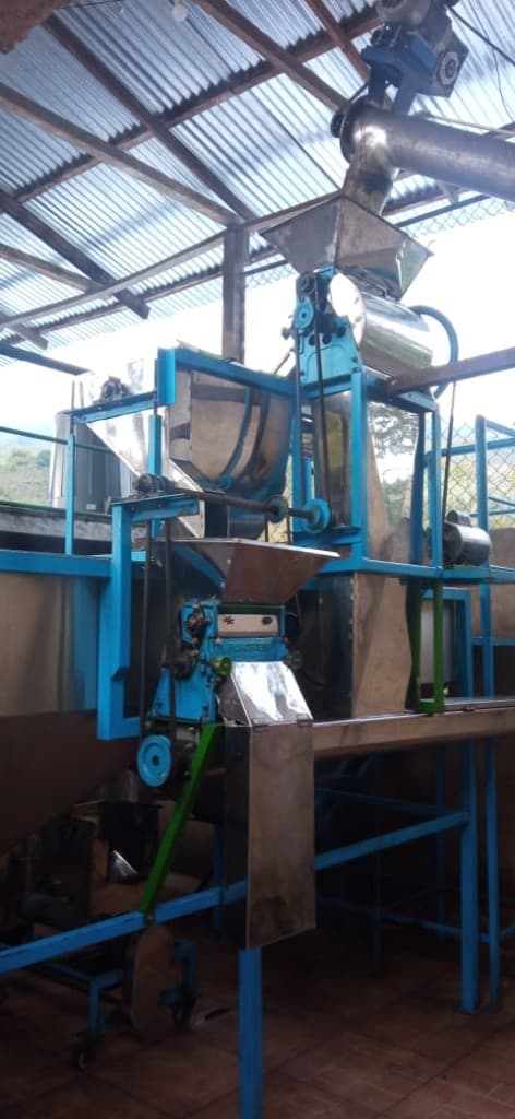 Eco-friendly washing and processing equipment at the Colombian farm