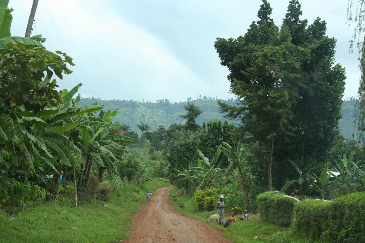 Red dirt road winding through the coffee-growing hills